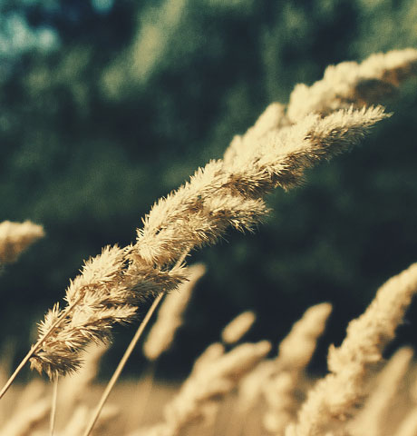 怎么去攻击一个网站与防护